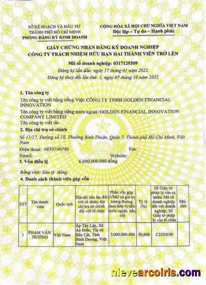 Vietnam company register entry certificate